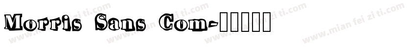 Morris Sans Com字体转换